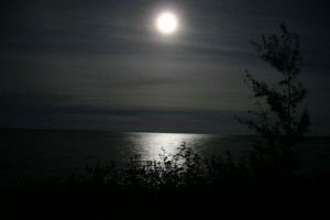 moonlight-night--large-msg-117807345376