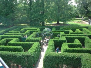 Hedge_Maze