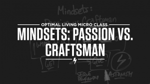 Mindsets-Passion-vs.-Craftsman
