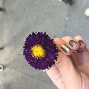 One of my first experiences at RMIT was being handed this little sweet flower by a stranger